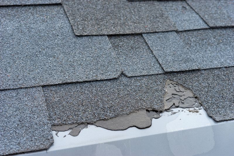 Sealed Shingles